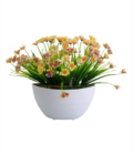Semi-circle Wall-mounted Flower Pot